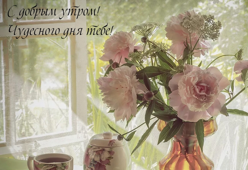 Цветы в прозрачной вазе у окна