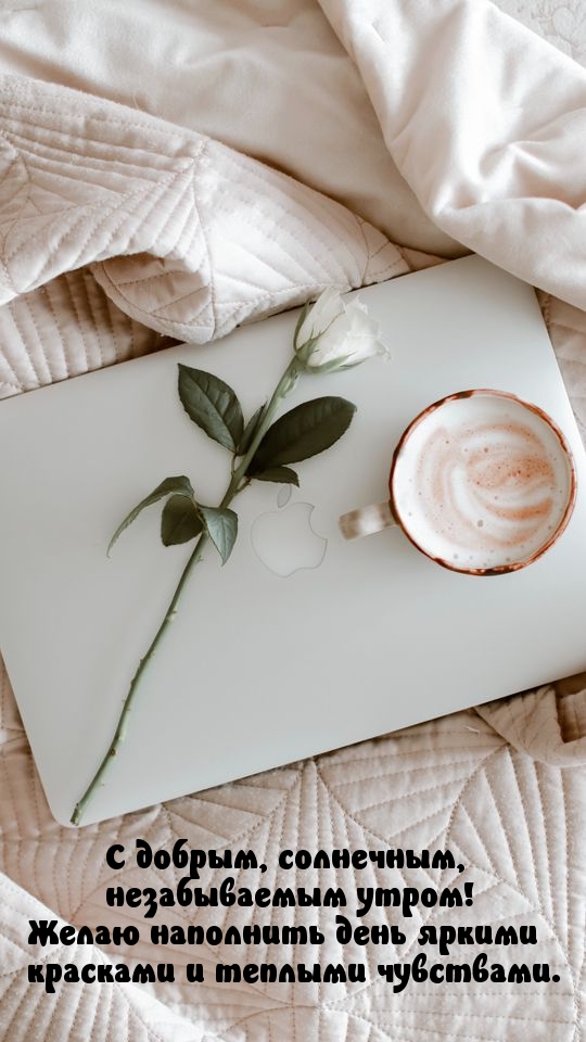 кофе и белая роза
