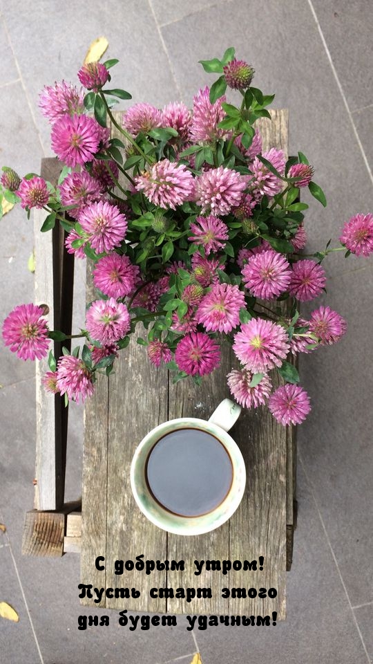 кофе и цветы
