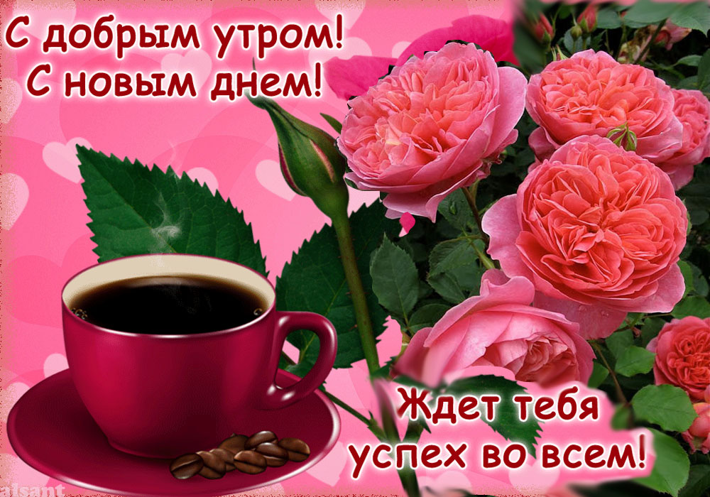 яркие цветы и чашка с кофе