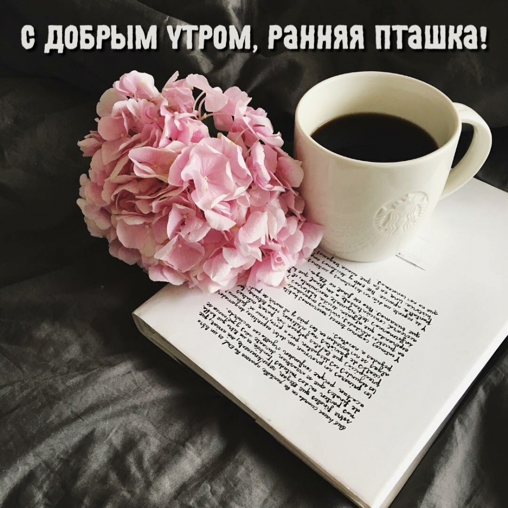 кофе и текст книги