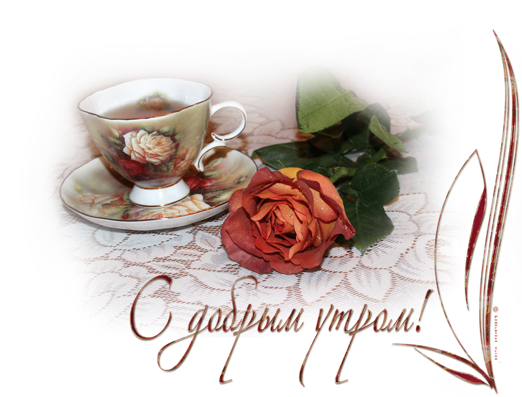 кофе и красивая роза
