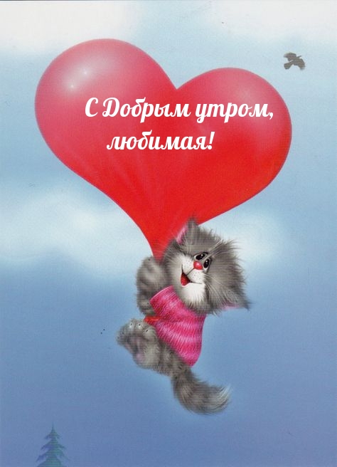 Кот парашютист на шарике