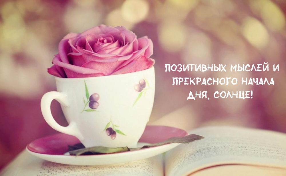 Розовые розы - это для тебя