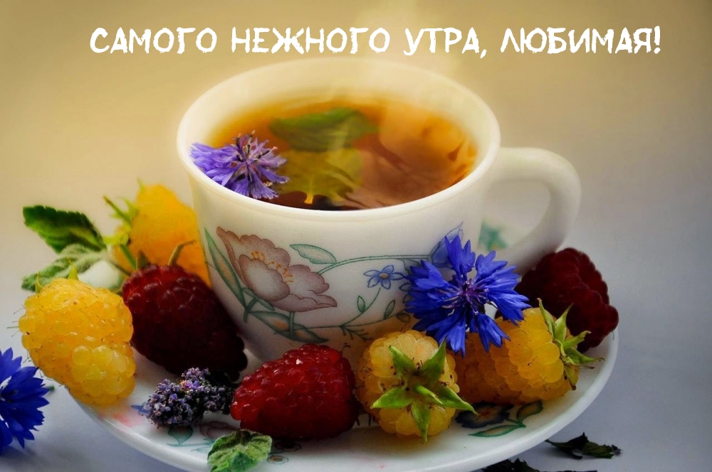 Фруктовый чай со фруктами