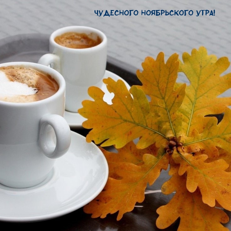 чашка с кофе и листья