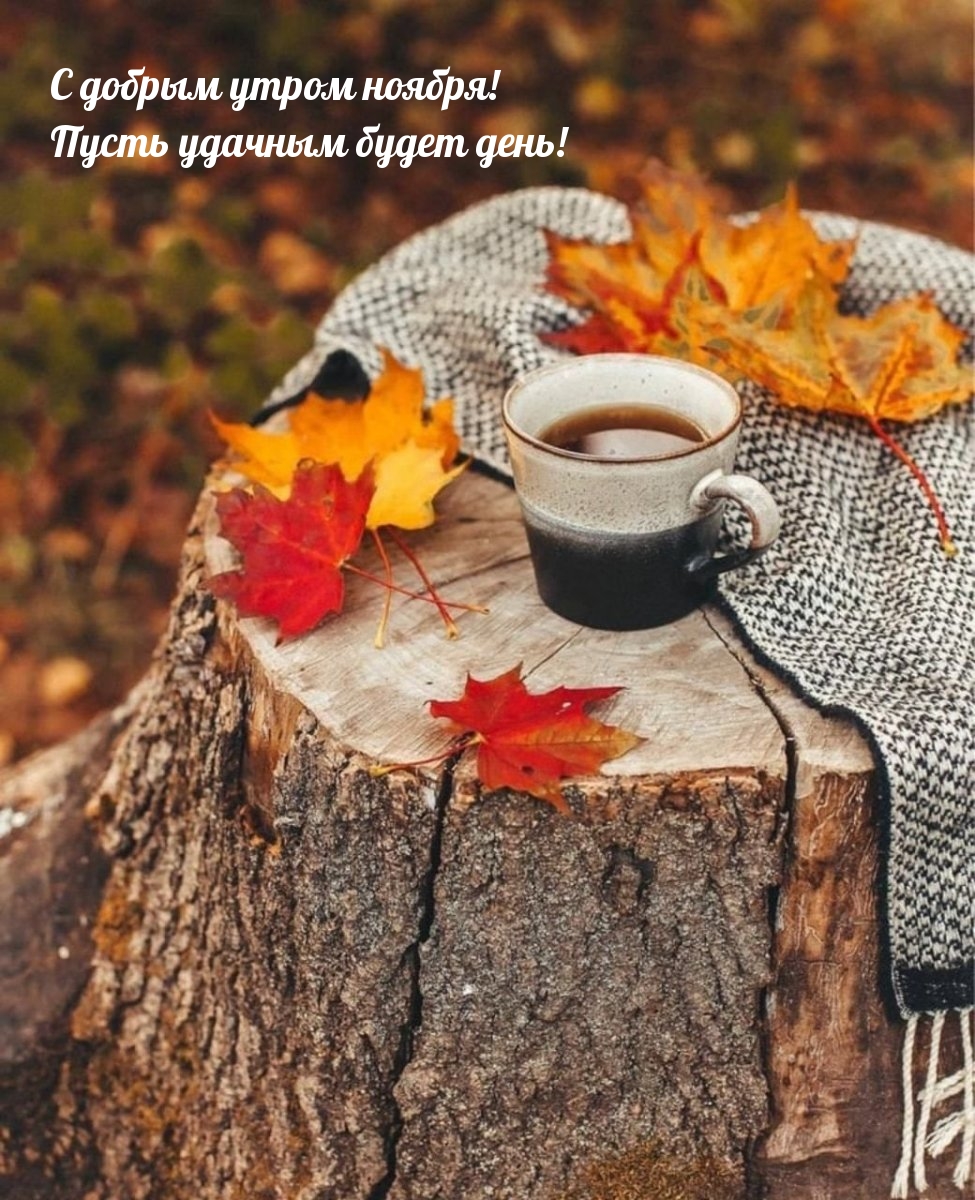 чашка, листья, кофе