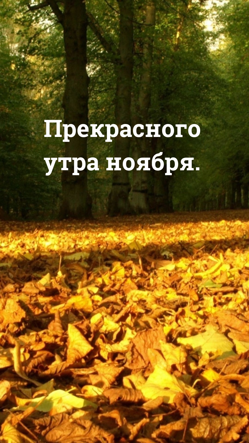 золотая осень в лесу