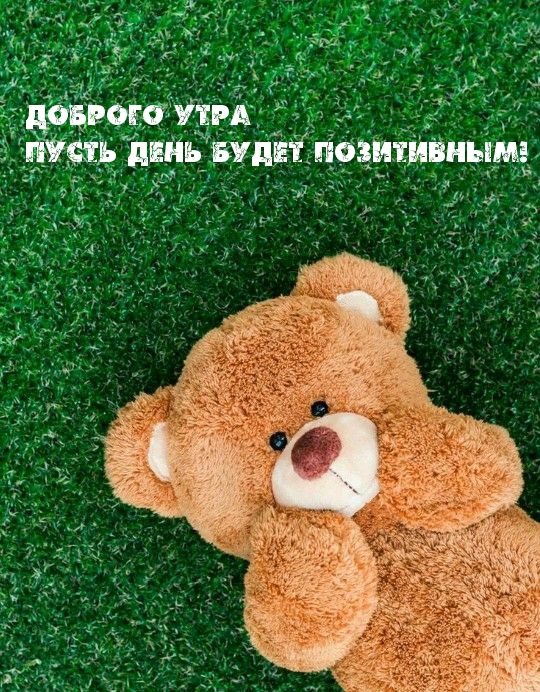 позитивный медвежонок доброе утро