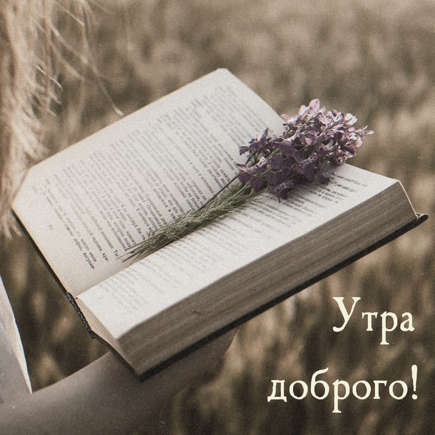Книга и цветок