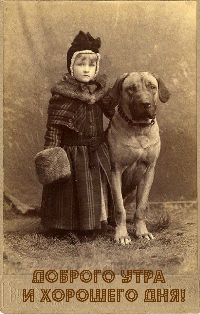 Девочка с собакой