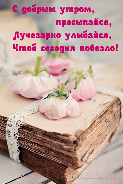 Старинная книга и розовые цветы