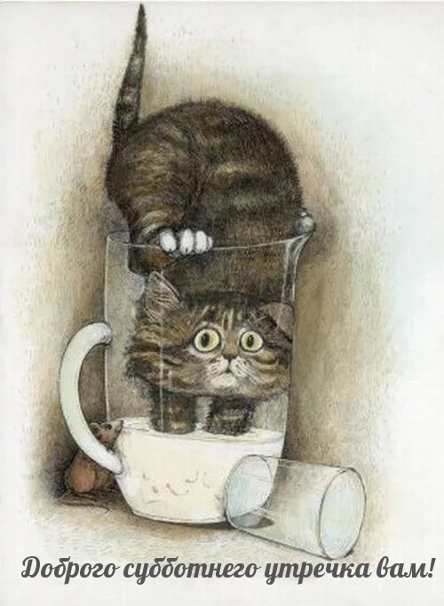Картинка с котиком и надписью доброго утра субботы