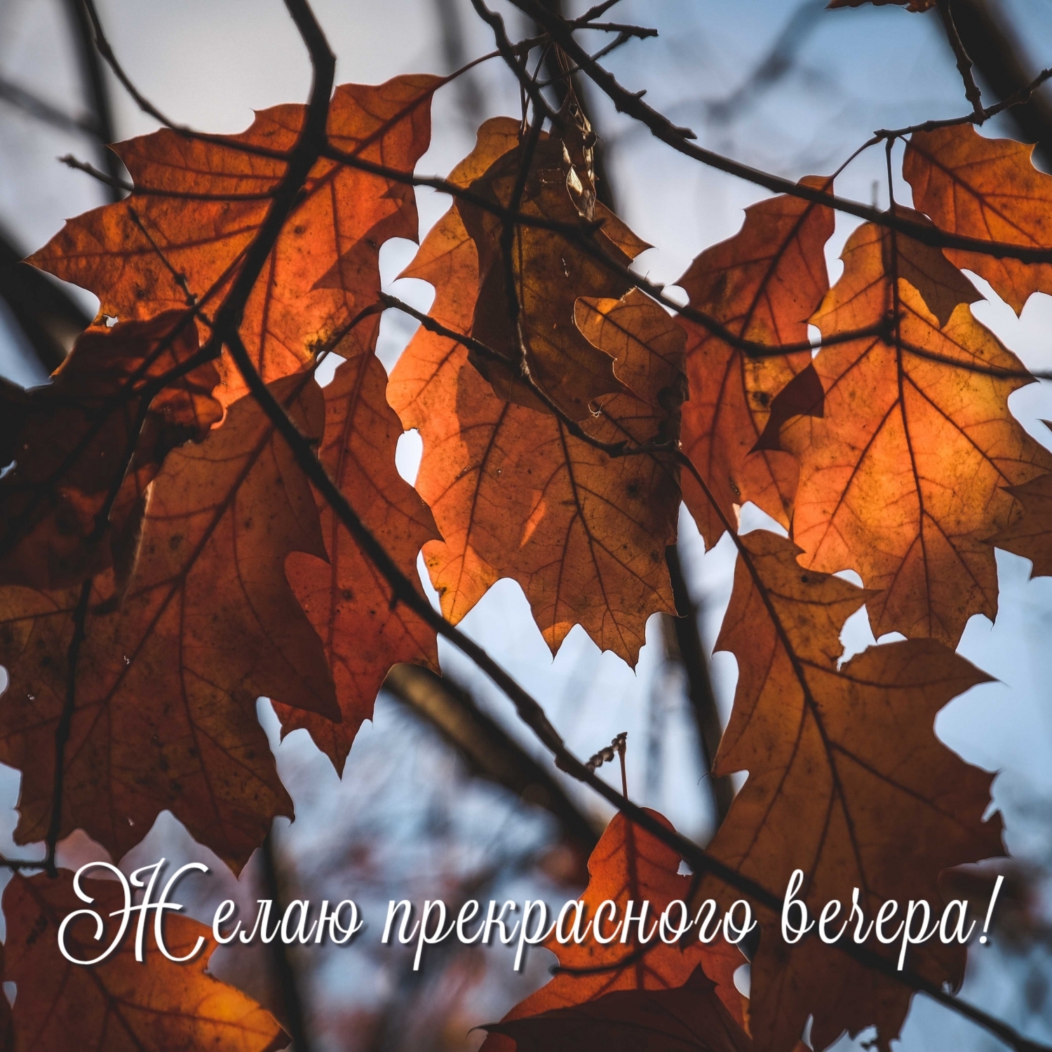 Осень дарит нам красоту