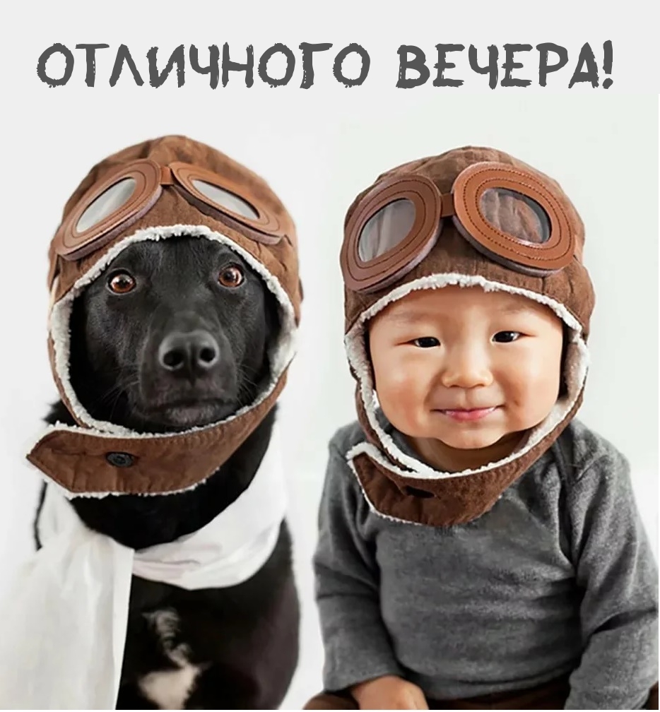 милая картинка с ребенком и собакой
