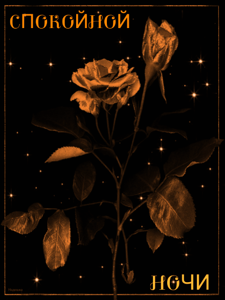 Волшебная желтая роза