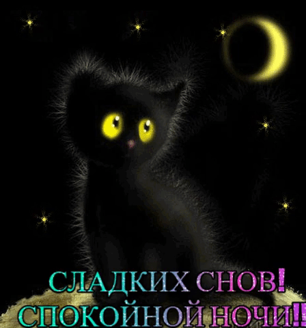 Открытка с луной и черным котиком