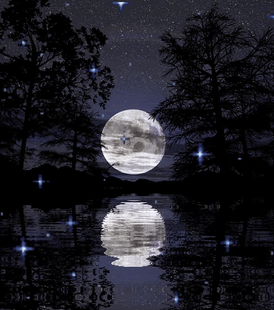 Волшебная ночь у пруда