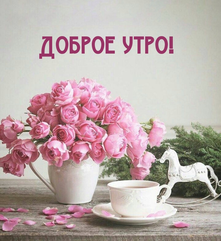 Доброе утро! С розовыми розами!