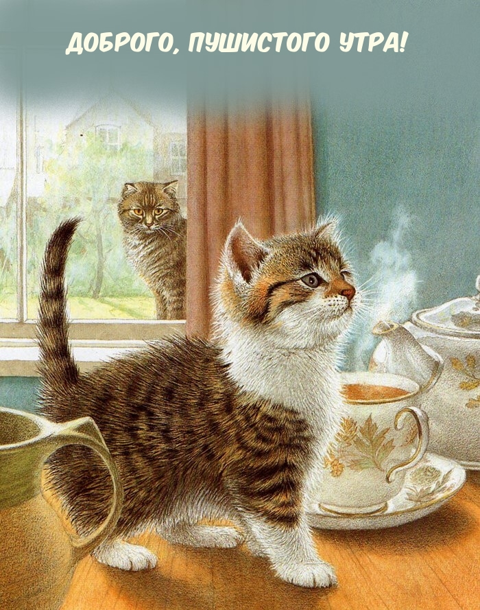 Котенок возле ароматного чая