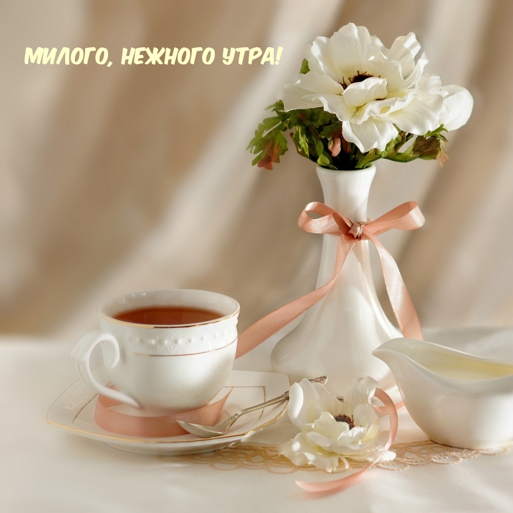 Нежное утро с цветами и чаем