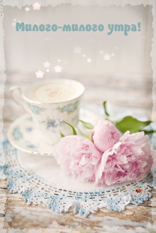 Чашка и цветочки на скатерти