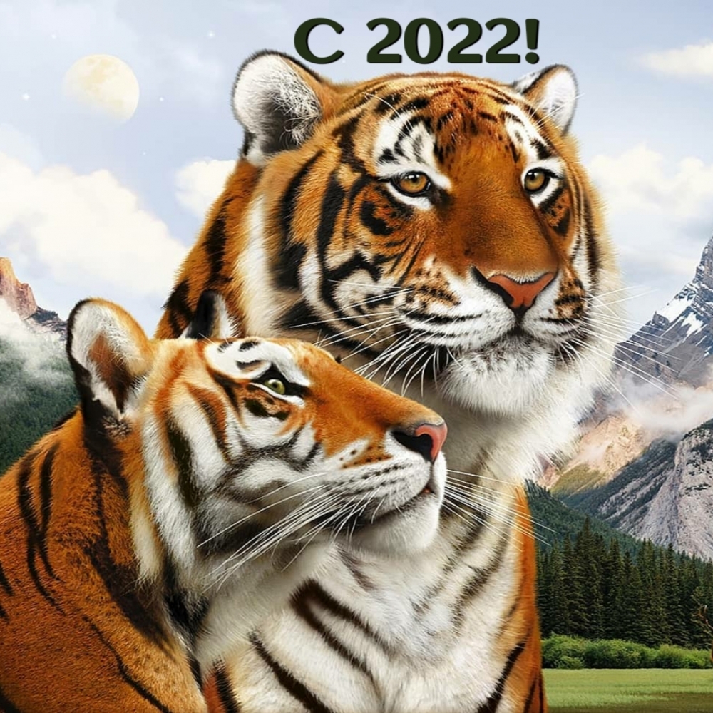 Тигры с 2022!