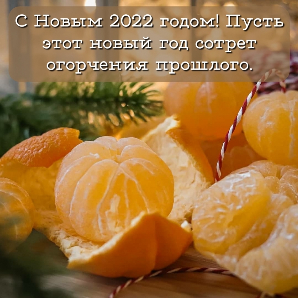 Красивый мандарин на 2022 Новый Год