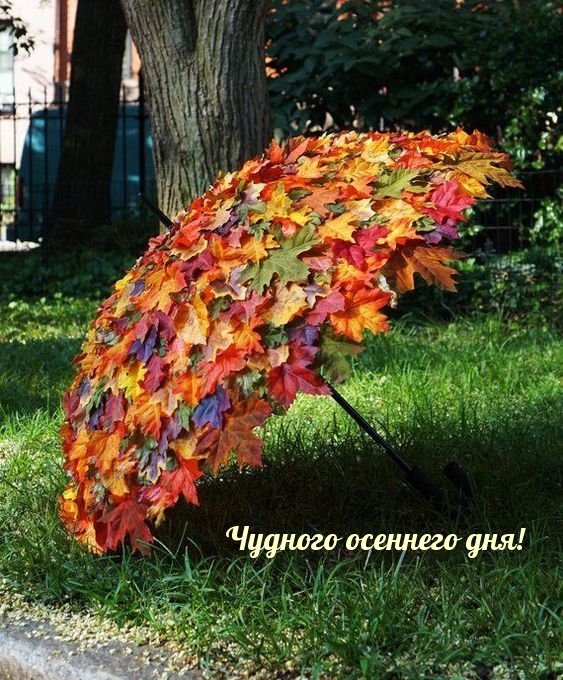 зонт из листьев