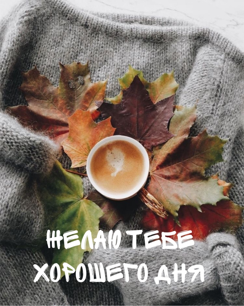 кофе и осенние листья