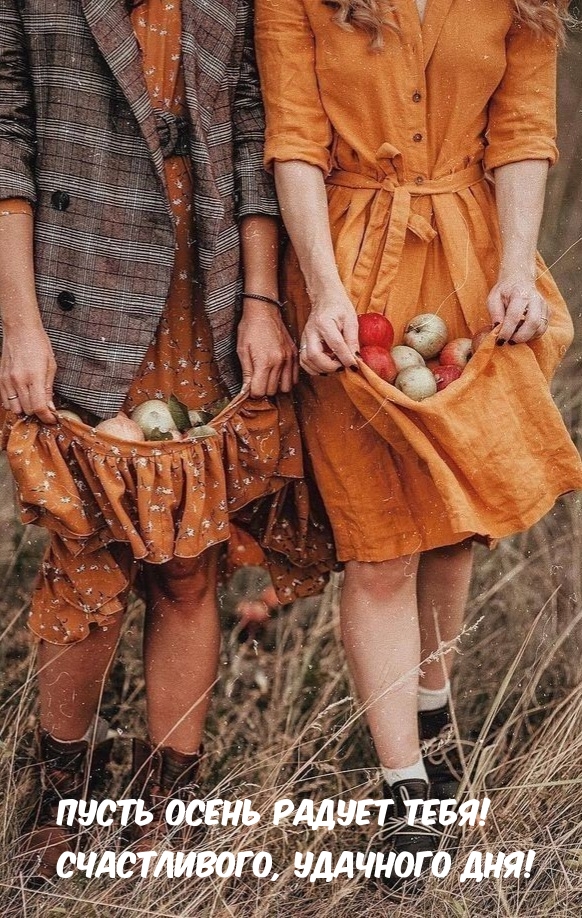 яблоки в платье