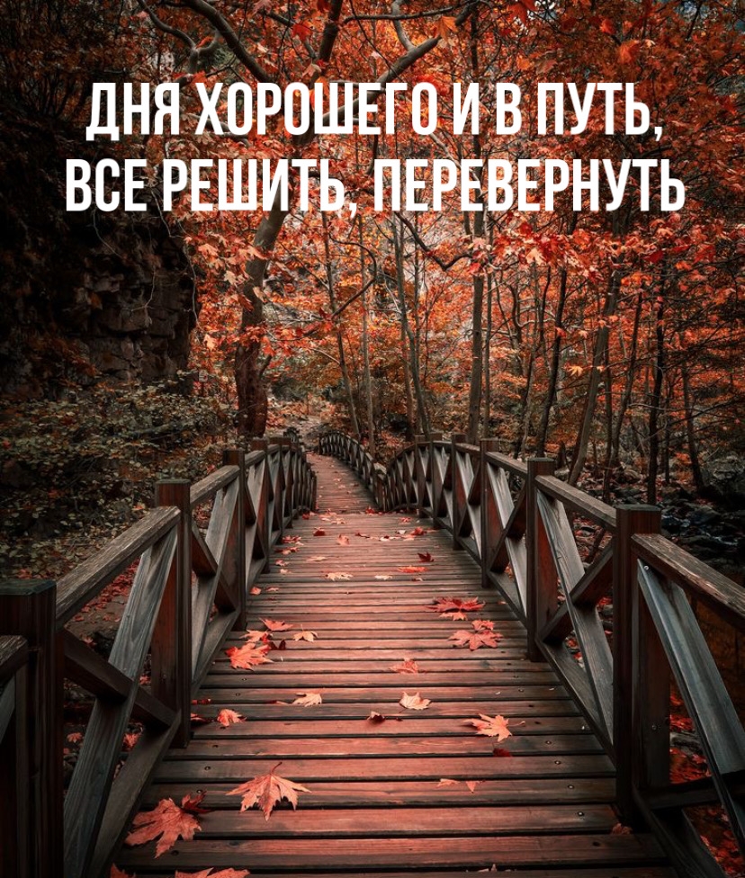 мост в листьях