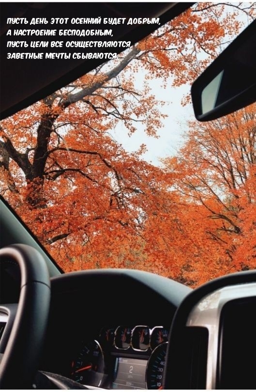 осень из машины