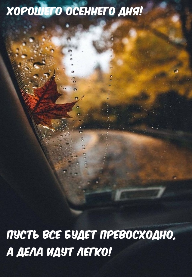 осень из окна машины
