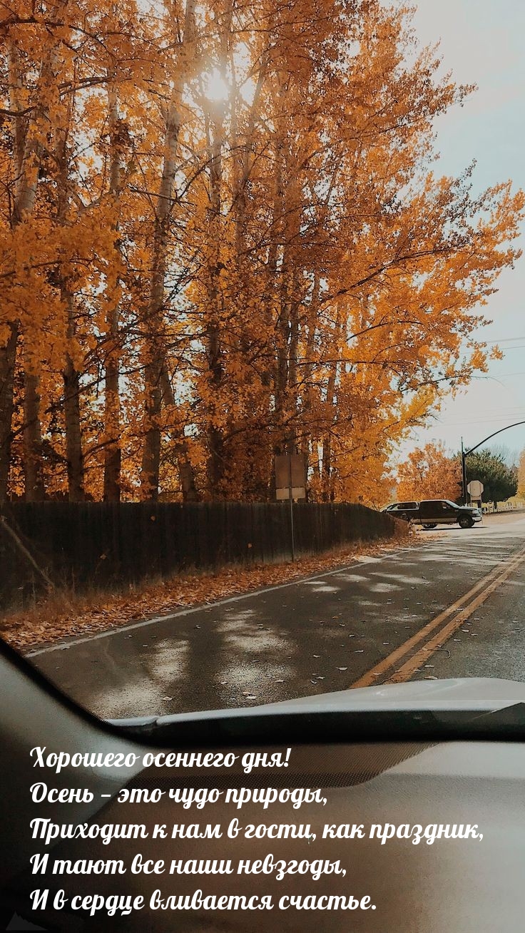 по дороге осень