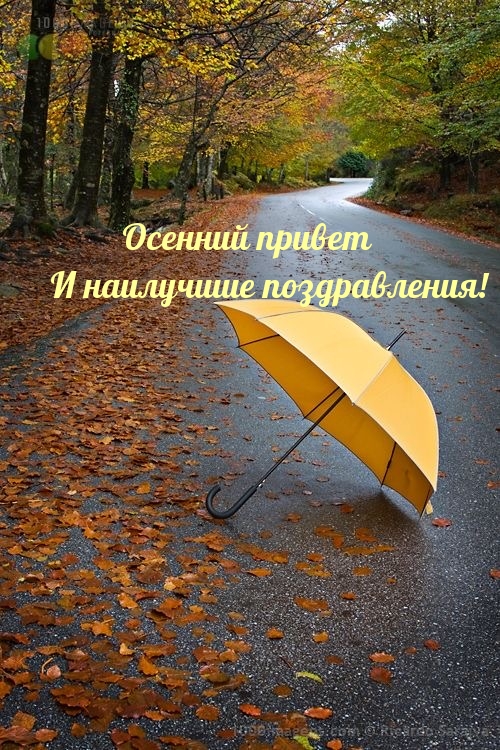 зонт на дороге