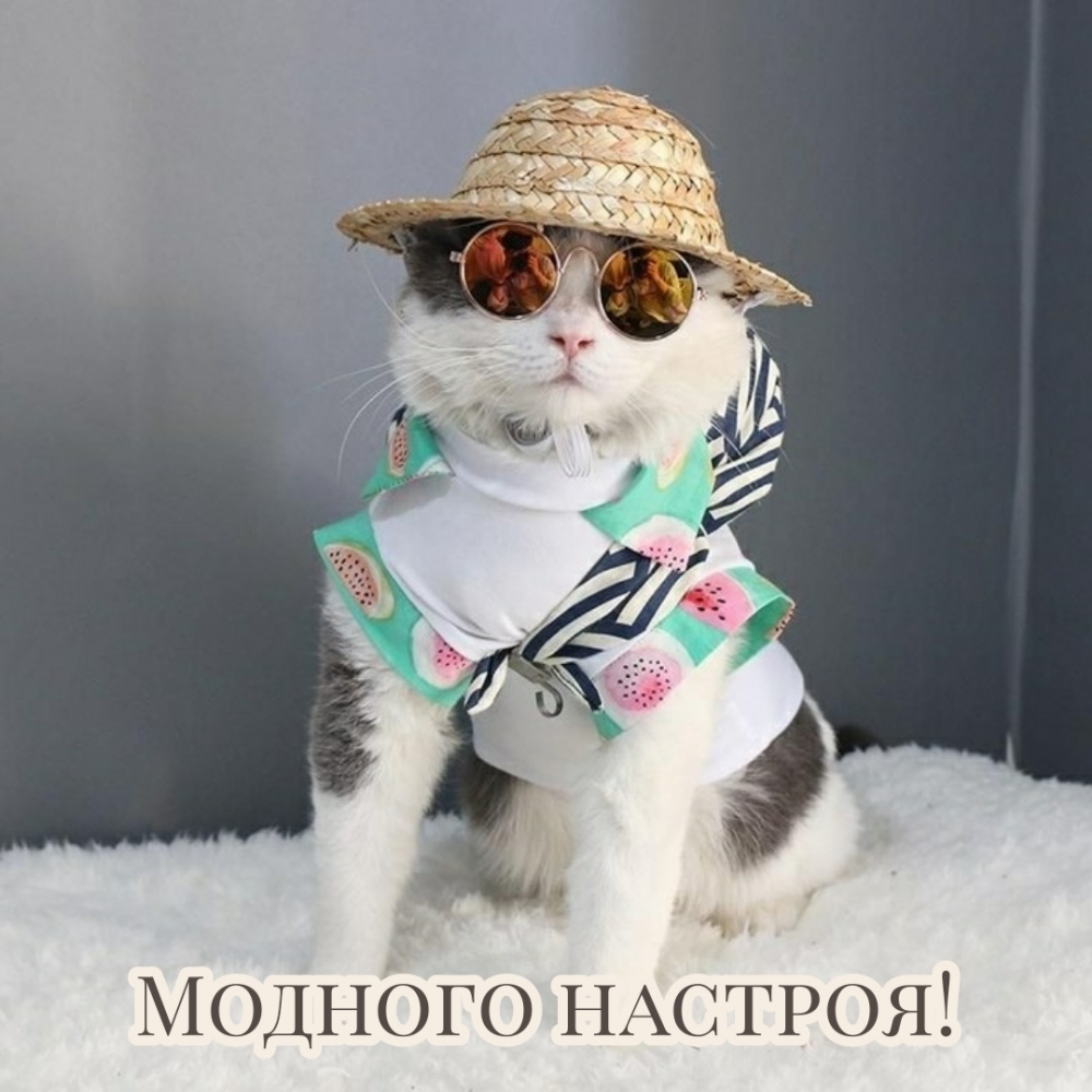 Модного настроения!