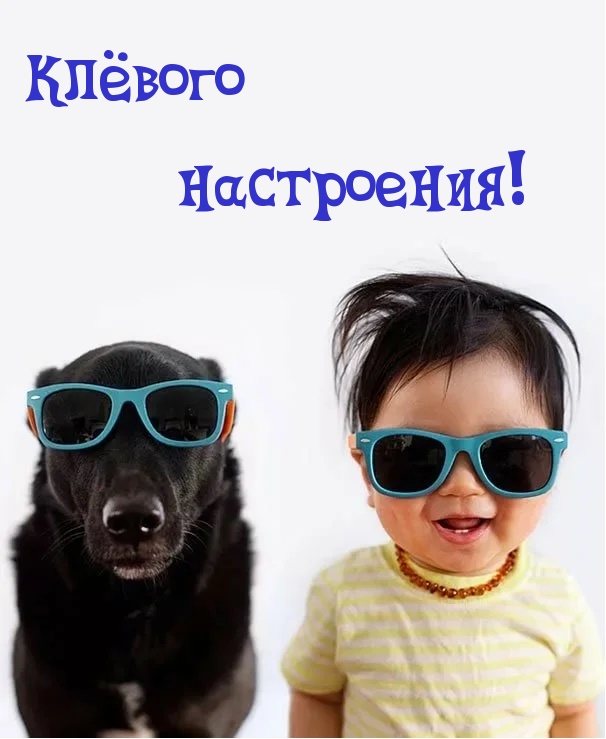 Ребенок и собака в очках