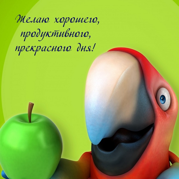 Попугай с яблоком