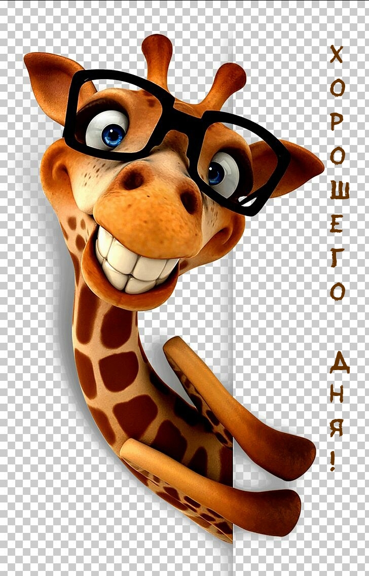 Хорошего дня от жирафа в очках