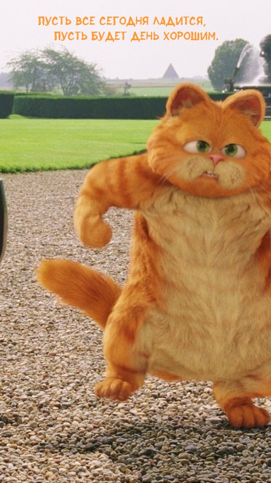 Большой кот из мультфильма