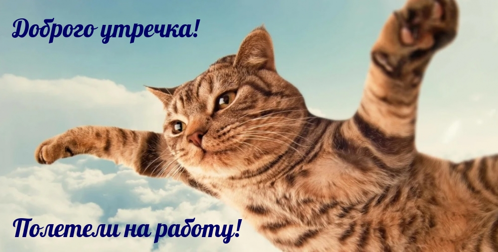 Полетели на работу!