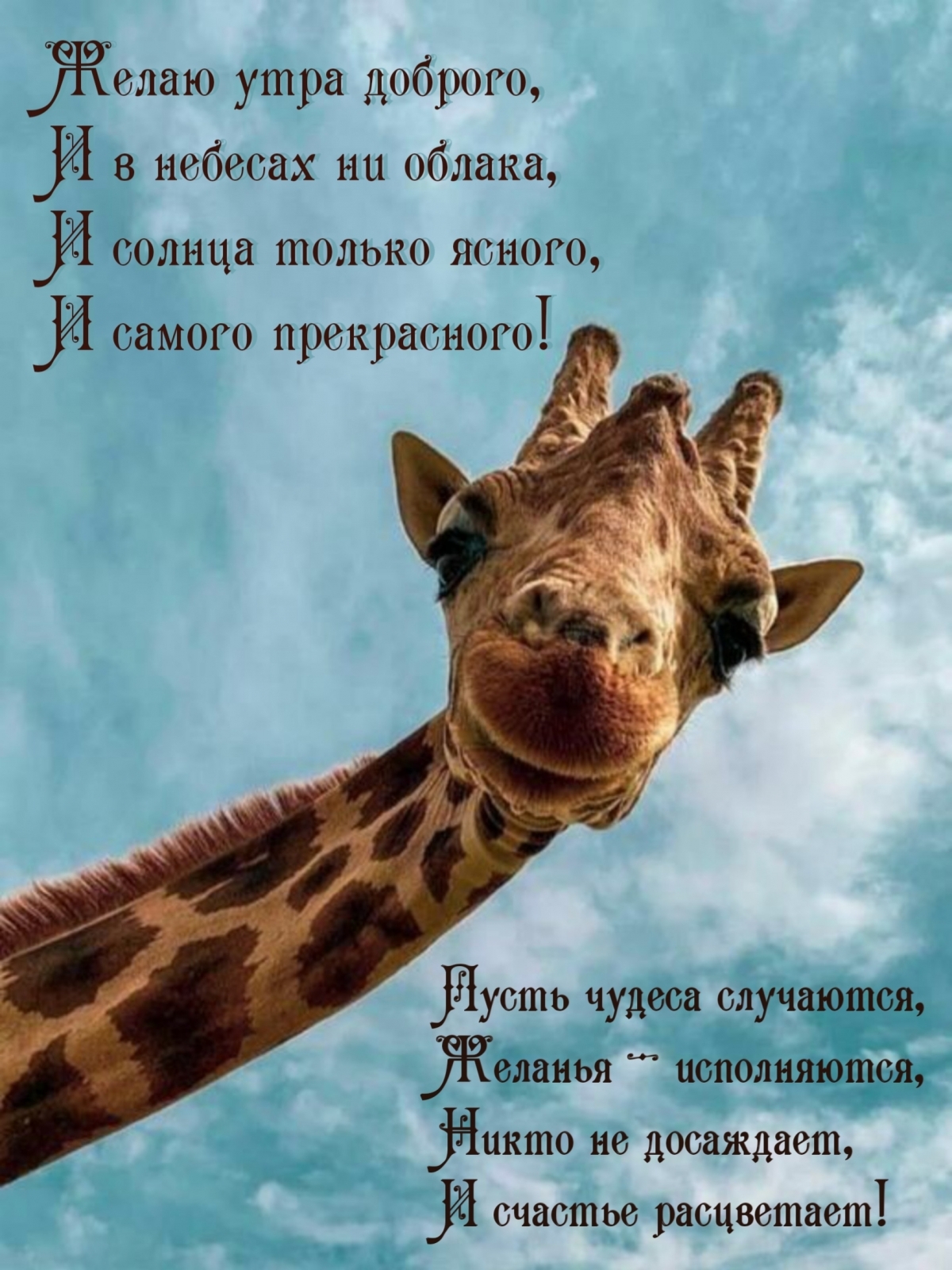 Я на Вас смотрю