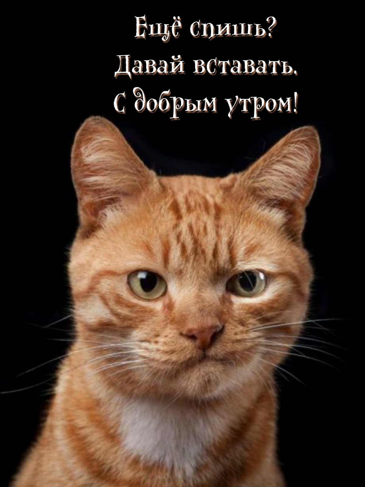 Мысли вслух