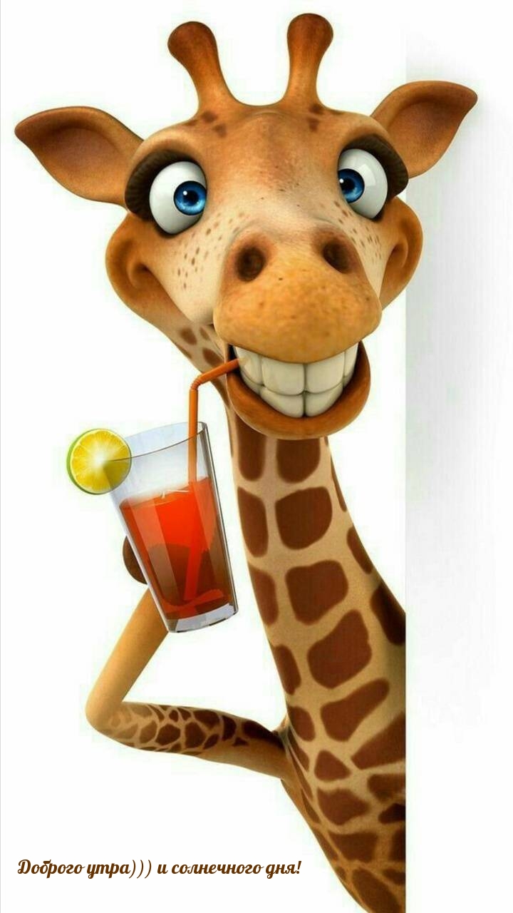 Пятнистый жираф с коктейлем