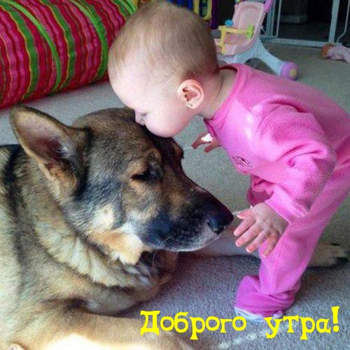 Маленький ребенок и собака