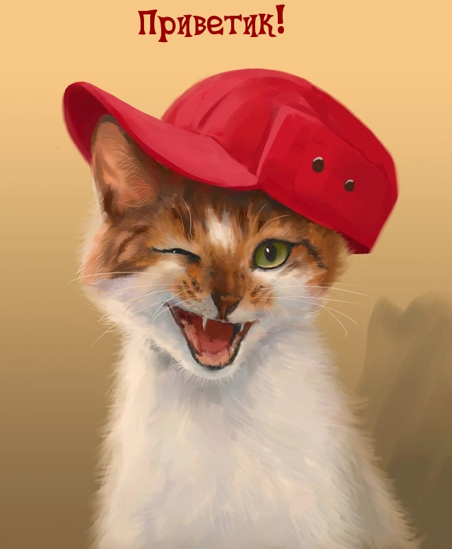 Кот в красной кепке