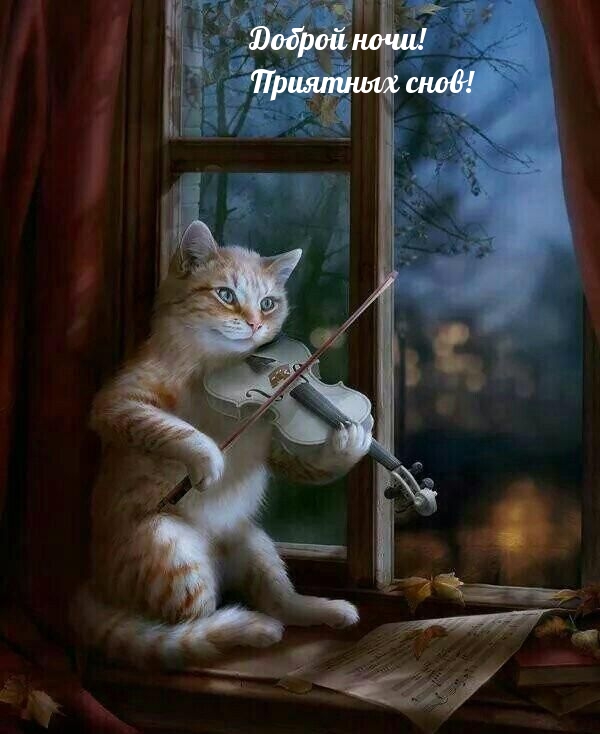 Умный кот со скрипкой