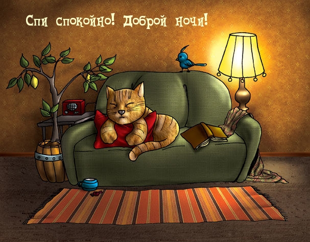 Сладкий сон кота на мягком диване