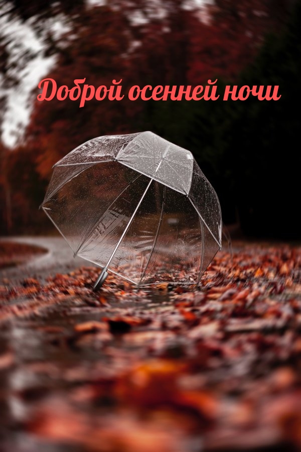 Зонтик на дороге